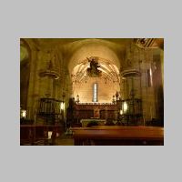 Tui, photo juantiagues, Wikipedia,3.jpg